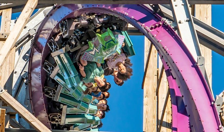Skip the Line at Busch Gardens Tampa: Quick Queue Guide at Busch Gardens Tampa