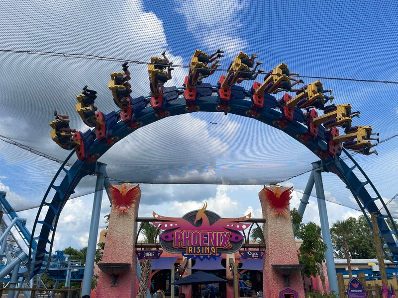 Beating the Crowds at Busch Gardens Tampa: When to Go and When to Ride at Busch Gardens Tampa